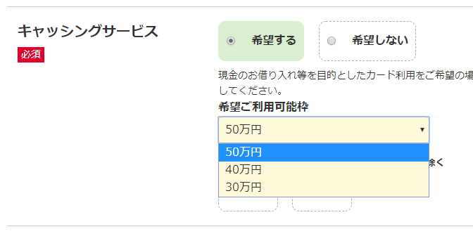 希望するキャッシング枠の金額